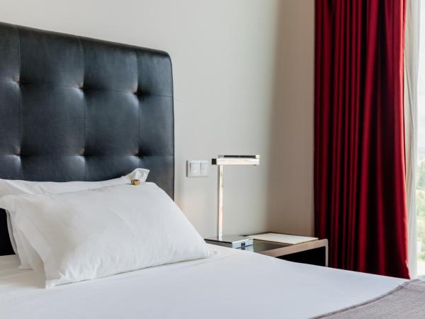 Axis Viana Business & SPA Hotel : photo 3 de la chambre standard double with mountain view