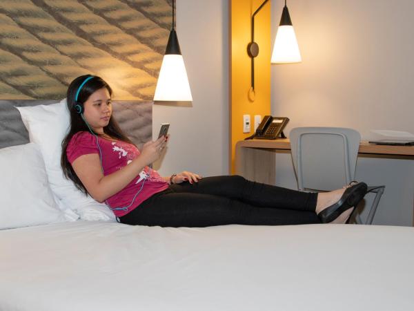 ibis Sao Paulo Tatuape : photo 10 de la chambre chambre standard avec lit double