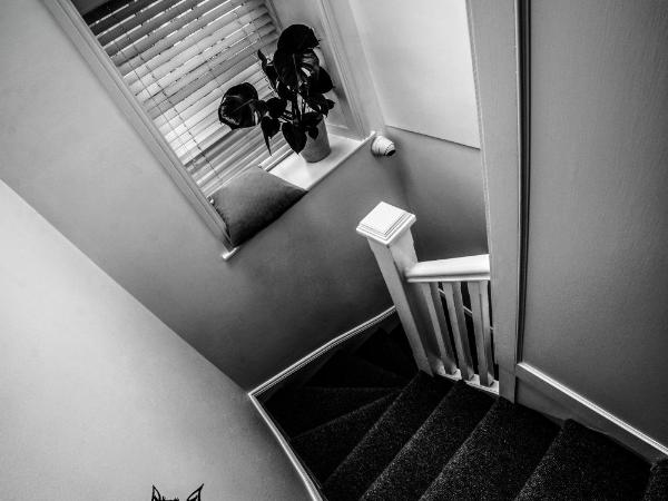 Black Cat : photo 2 de la chambre chambre simple