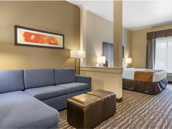 Comfort Suites Northwest Houston At Beltway 8 : photo 6 de la chambre suite lit king-size – non-fumeurs