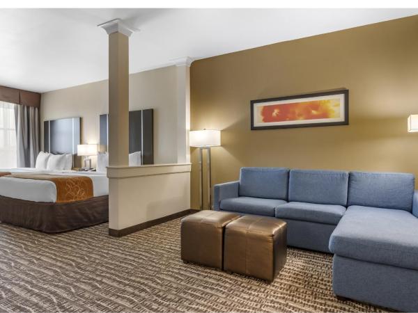 Comfort Suites Northwest Houston At Beltway 8 : photo 6 de la chambre suite avec 2 lits queen-size - non-fumeurs