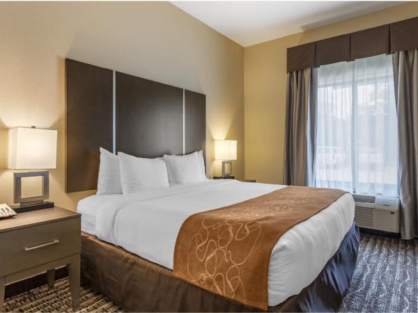 Comfort Suites Near Sam Houston Race Park : photo 1 de la chambre suite lit king-size – non-fumeurs