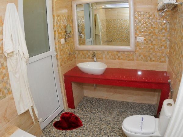 Royal Penguin Boutique Hotel & Spa : photo 7 de la chambre chambre lit king-size supérieure