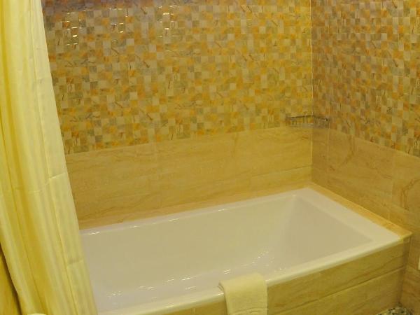 Royal Penguin Boutique Hotel & Spa : photo 7 de la chambre chambre lits jumeaux supérieure