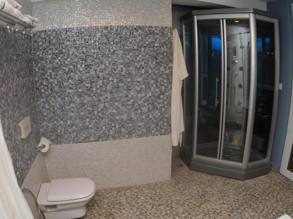 Royal Penguin Boutique Hotel & Spa : photo 9 de la chambre suite penthouse