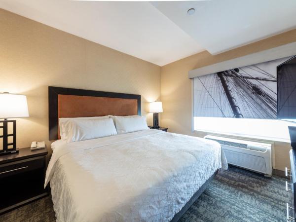 Holiday Inn Express & Suites Riverport Richmond, an IHG Hotel : photo 3 de la chambre suite lit king-size