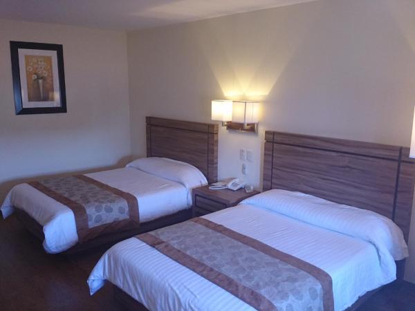 Hotel Oliver Inn - Business Class : photo 2 de la chambre chambre double avec 2 lits doubles