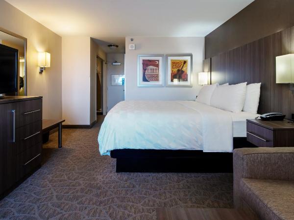 Holiday Inn Nashville Vanderbilt, an IHG Hotel : photo 7 de la chambre chambre lit king-size avec canapé-lit