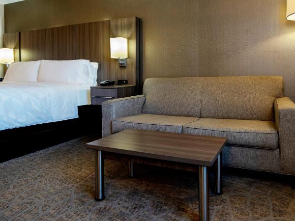 Holiday Inn Nashville Vanderbilt, an IHG Hotel : photo 10 de la chambre chambre lit king-size avec canapé-lit