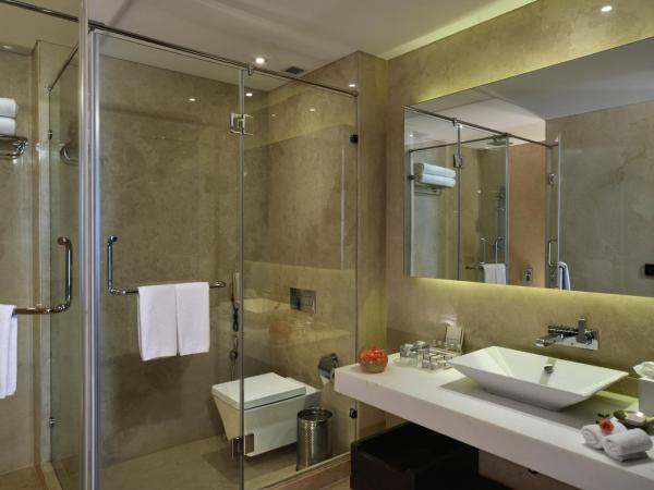 Pride Plaza Hotel, Kolkata : photo 5 de la chambre superior room with cocktail hours (buy 2 get 1 free) from 17:00 - 19:00 hrs