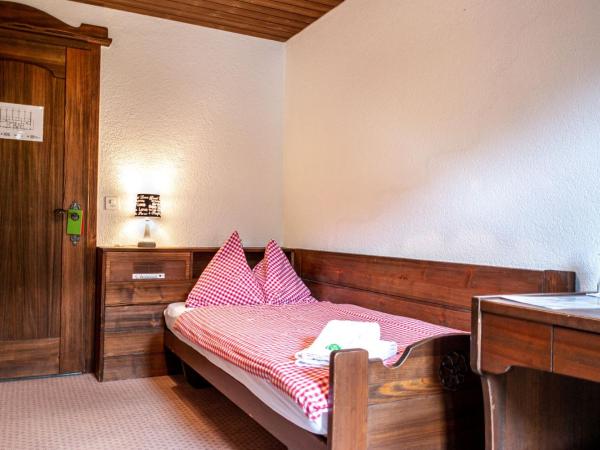 Hotel Gletscherblick Grindelwald : photo 1 de la chambre petite chambre simple