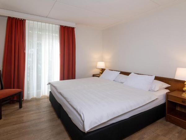 Swiss Inn & Apartments : photo 4 de la chambre appartement supérieur 1 chambre