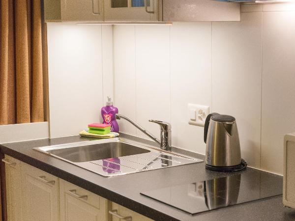 Swiss Inn & Apartments : photo 2 de la chambre appartement 1 chambre Économique