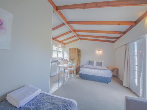 Sylvia Park Motel : photo 2 de la chambre studio lits jumeaux