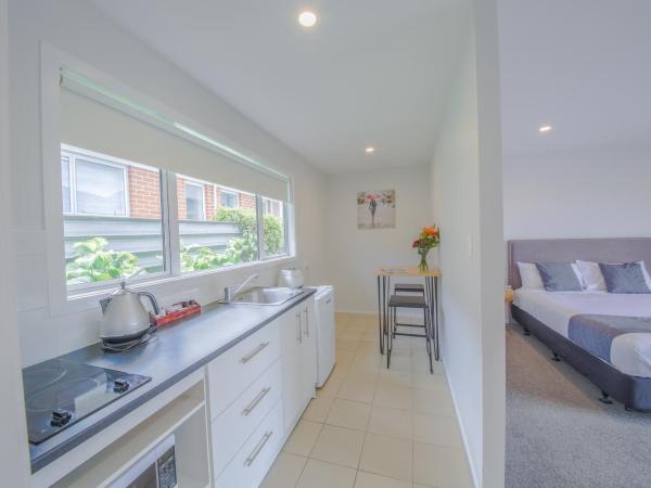 Sylvia Park Motel : photo 4 de la chambre studio double