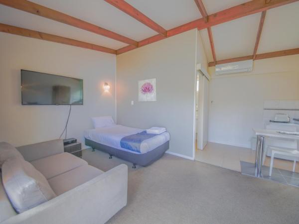 Sylvia Park Motel : photo 6 de la chambre studio lits jumeaux