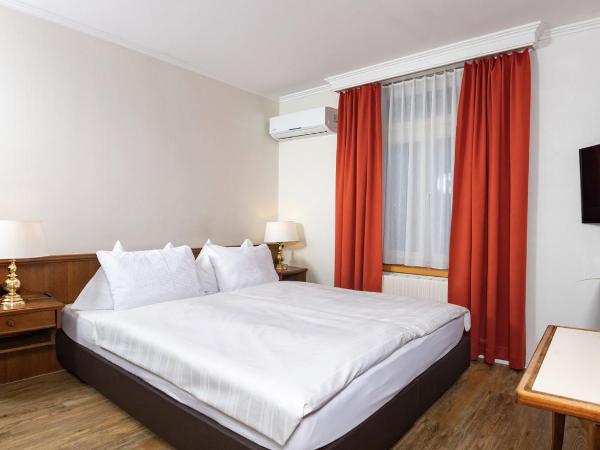 Swiss Inn & Apartments : photo 1 de la chambre chambre double Économique