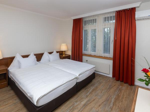 Swiss Inn & Apartments : photo 2 de la chambre chambre double Économique