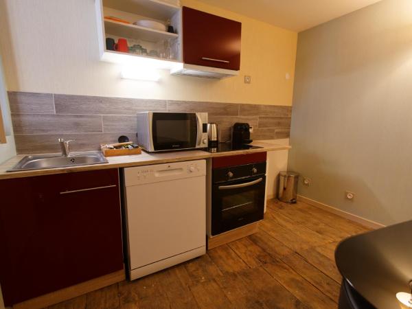 Appart'Hôtel Sainte Trinité : photo 2 de la chambre appartement 1 chambre