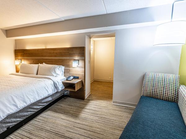 Holiday Inn Express Indianapolis South, an IHG Hotel : photo 7 de la chambre chambre lit king-size standard