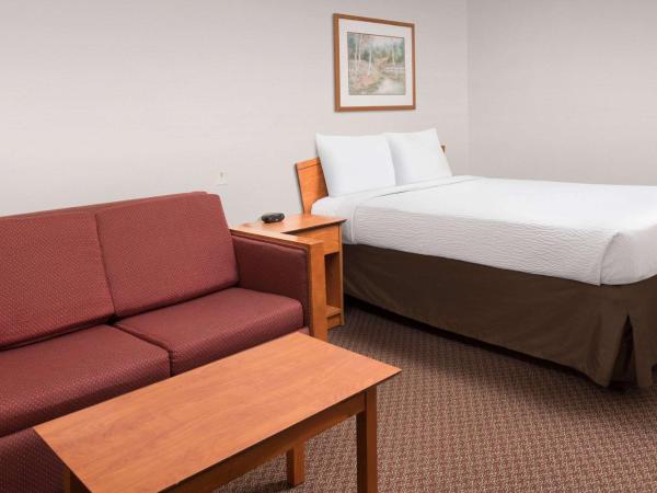 WoodSpring Suites San Antonio North Live Oak I-35 : photo 7 de la chambre chambre lit queen-size - adaptée aux personnes à mobilité réduite - fumeurs