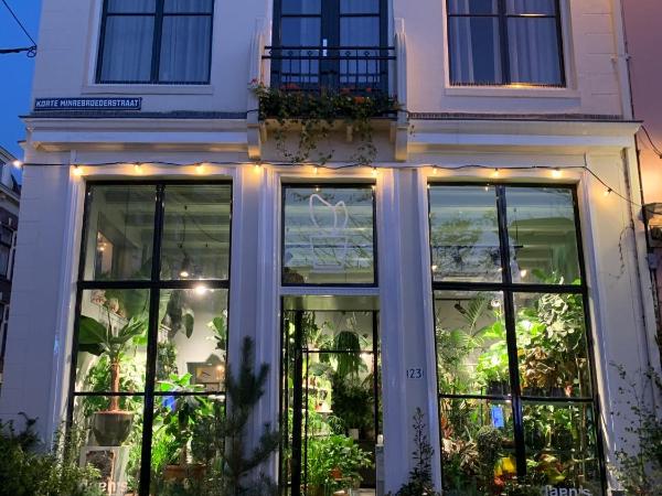 Daen's Greenhouse : photo 2 de la chambre chambre lit king-size supérieure