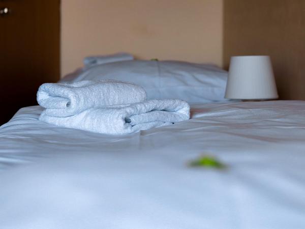 Hotel CHODOV ASC : photo 2 de la chambre chambre double ou lits jumeaux confort