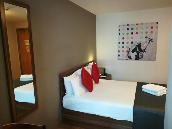 Britannia Study Hotel : photo 7 de la chambre chambre double standard