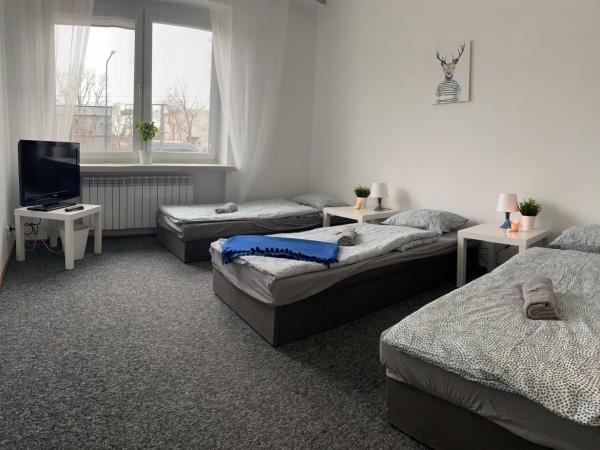 Hostel Czecha : photo 4 de la chambre chambre triple basique avec salle de bains commune