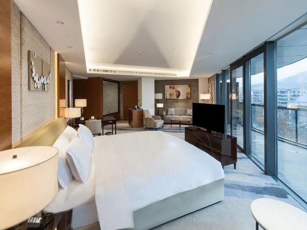 Holiday Inn Nanjing Xuanwu Lake, an IHG Hotel : photo 2 de la chambre suite lit king-size exécutive