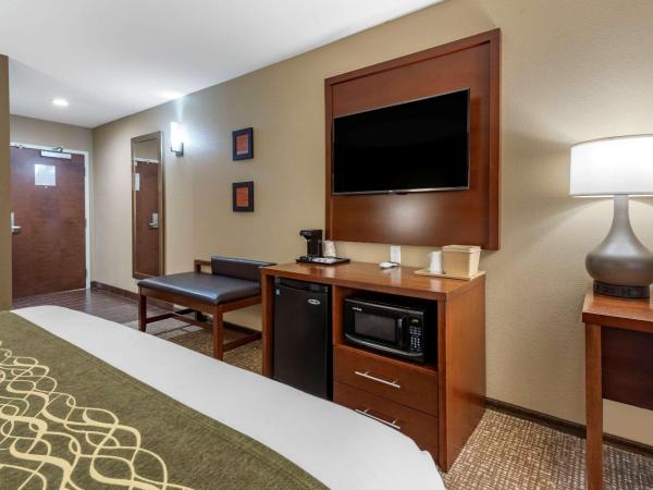 Comfort Inn & Suites : photo 1 de la chambre suite avec 2 lits queen-size et canapé-lit