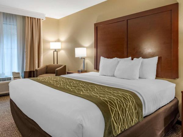 Comfort Inn & Suites : photo 3 de la chambre chambre lit king-size - non-fumeurs