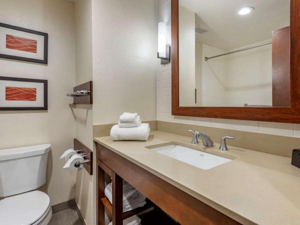 Comfort Inn & Suites : photo 2 de la chambre suite avec 2 lits queen-size et canapé-lit