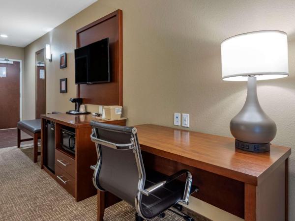 Comfort Inn & Suites : photo 4 de la chambre chambre 2 lits queen-size - non-fumeurs