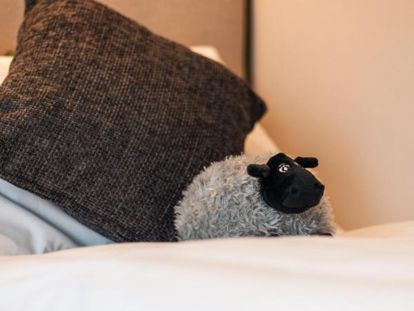 The White Rose Lodge with Hot Tub : photo 8 de la chambre maison 2 chambres