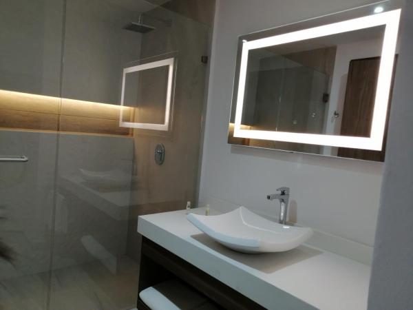 Wyndham Puebla Angelopolis : photo 6 de la chambre chambre lit king-size - non-fumeurs