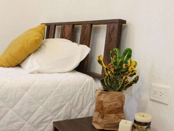 Rooms in Cancun Airport : photo 7 de la chambre chambre double ou lits jumeaux