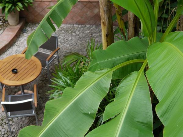 Hotel Napoléon : photo 3 de la chambre chambre double - vue sur jardin