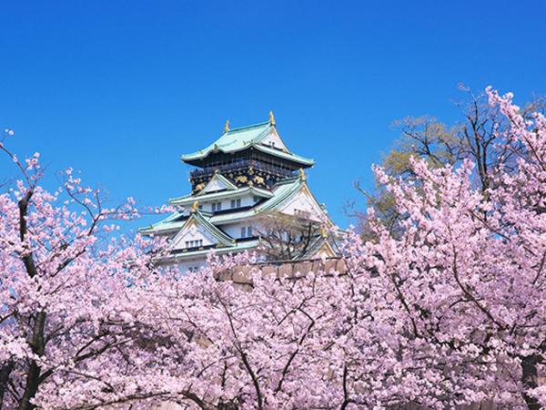 Eins.Inn Umeda Higashi : photo 1 de la chambre chambre lits jumeaux - non-fumeurs