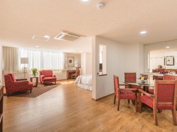 Suites Perisur Apartamentos Amueblados : photo 4 de la chambre room #153978211