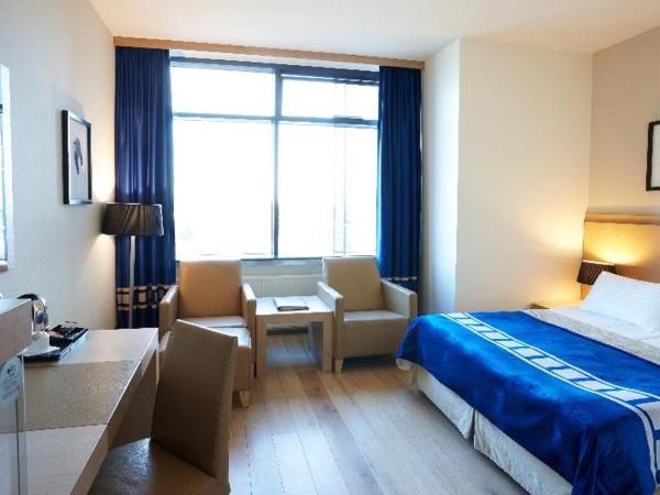 Hótel Reykjavík Grand : photo 3 de la chambre room #22148142