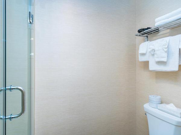 Ramada By Wyndham Niagara Falls near the Falls : photo 3 de la chambre chambre lit king-size - non-fumeurs
