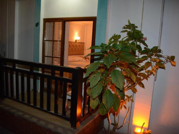 Manolya Hotel : photo 1 de la chambre studio
