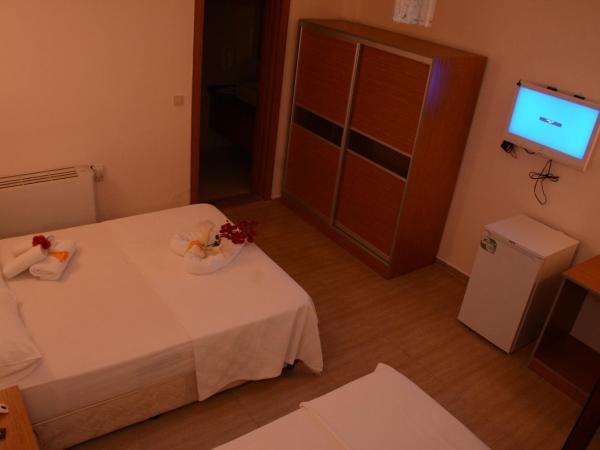 Manolya Hotel : photo 6 de la chambre studio