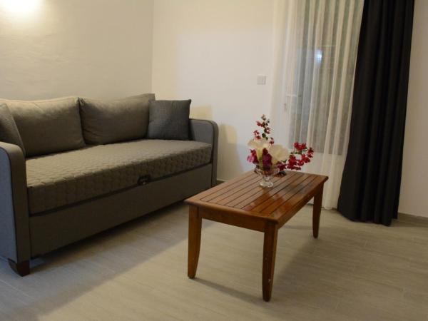 Manolya Hotel : photo 4 de la chambre appartement 2 chambres 