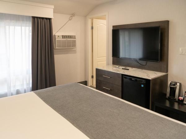 Red Carpet Inn : photo 3 de la chambre chambre lit king-size supérieure