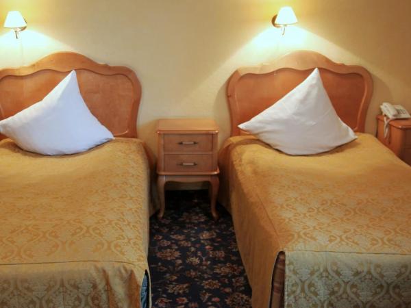Dedek Park - historyczny dworek w pięknym Parku Skaryszewskim obok Stadionu Narodowego : photo 10 de la chambre chambre lits jumeaux classique sans climatisation