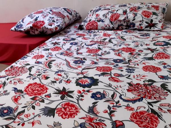 Zitouna Rooms : photo 9 de la chambre chambre simple standard