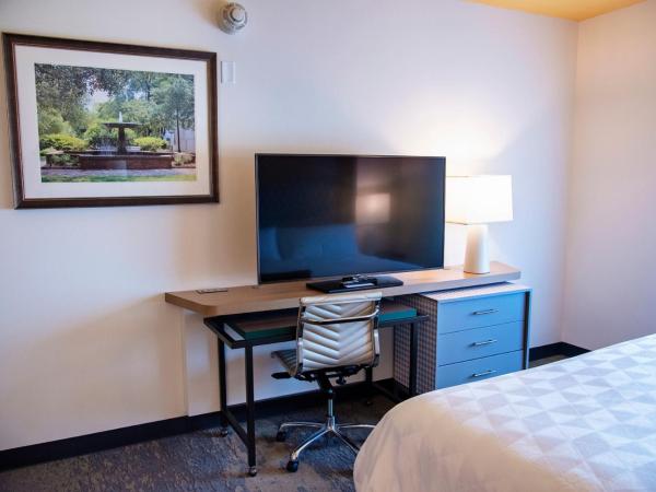 Holiday Inn & Suites - Savannah Airport - Pooler, an IHG Hotel : photo 3 de la chambre chambre lit king-size loisirs - non-fumeurs