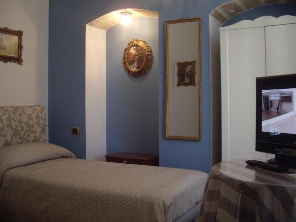 Executive L'Orangerie BB : photo 1 de la chambre chambre simple